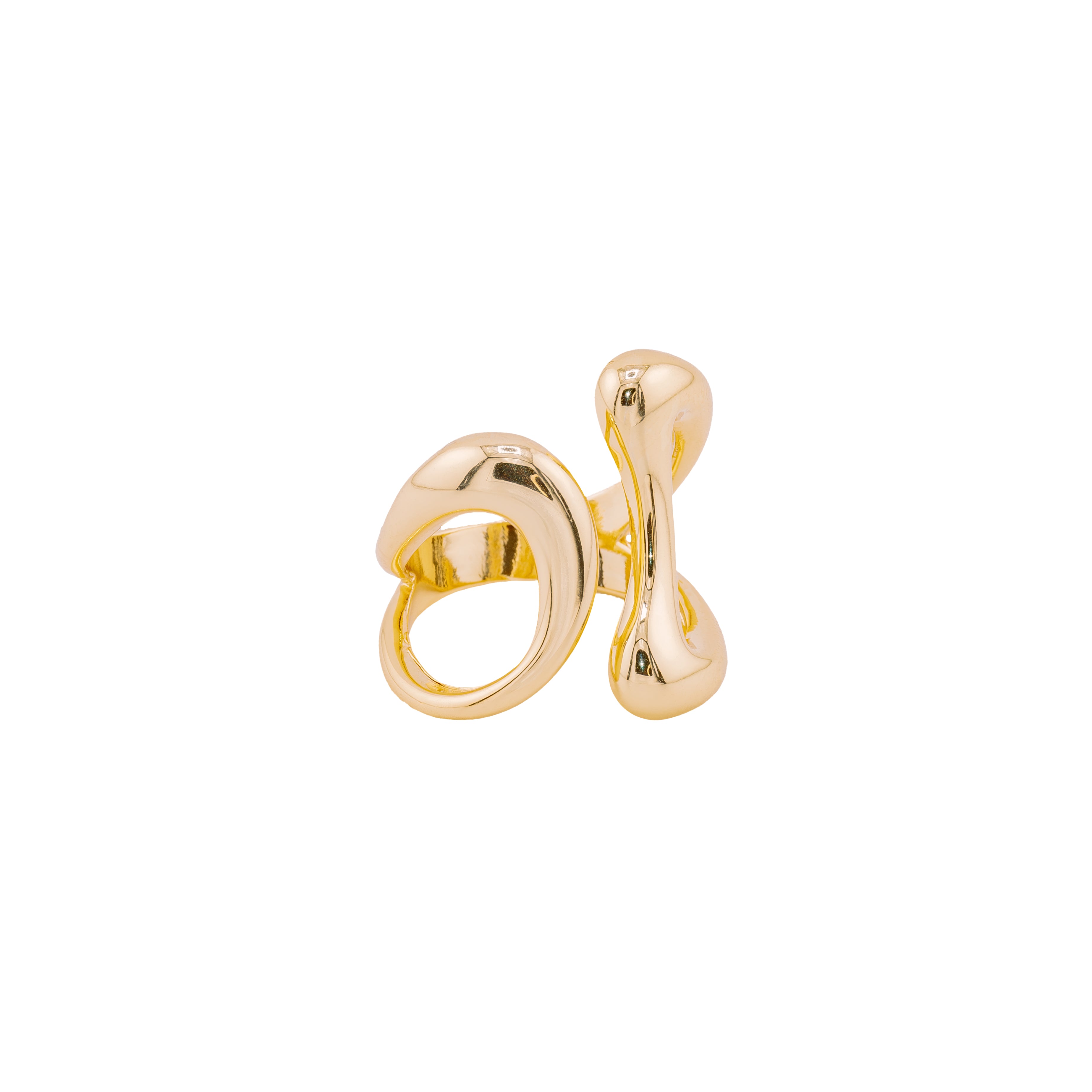 Anillo Dizo