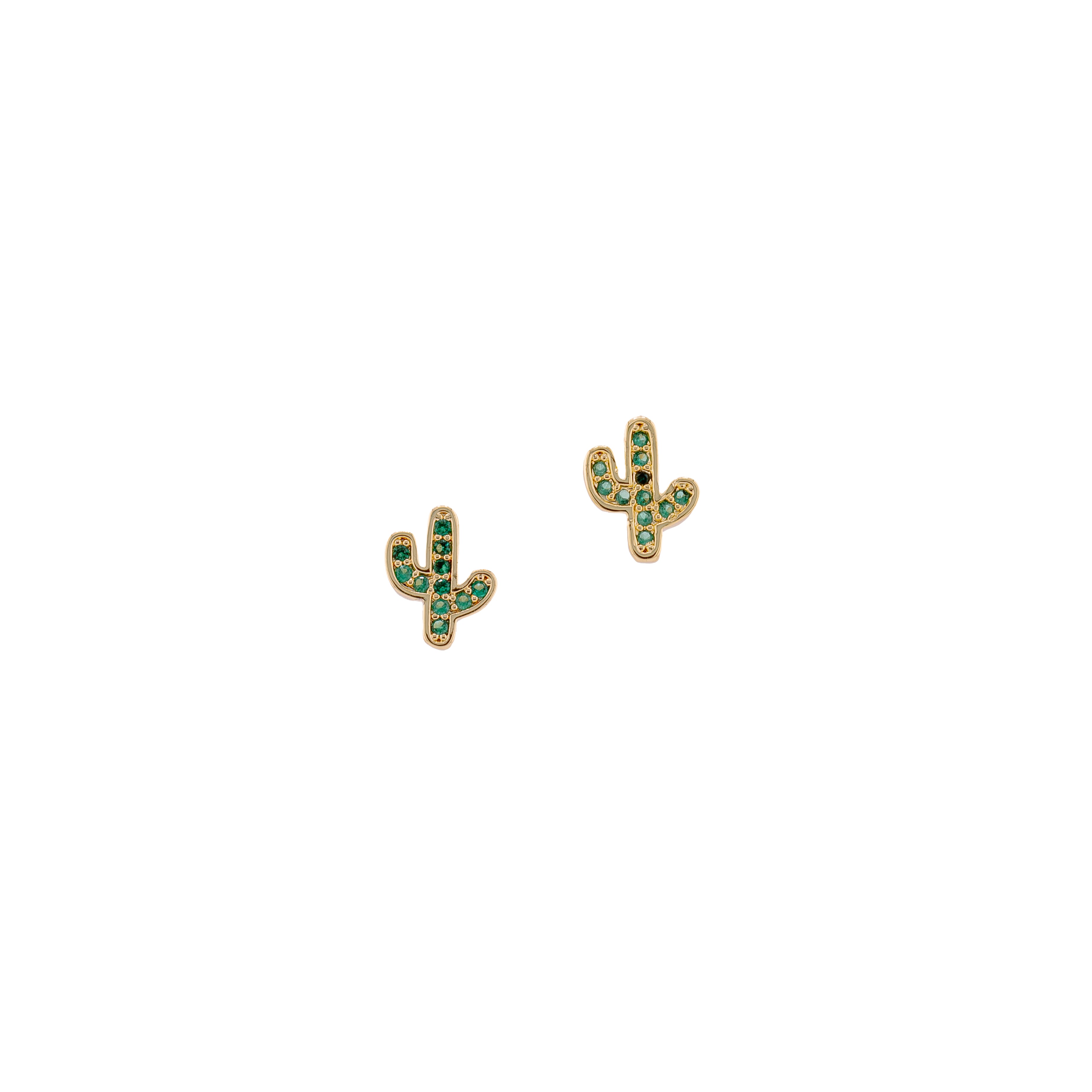 Studs The cactus