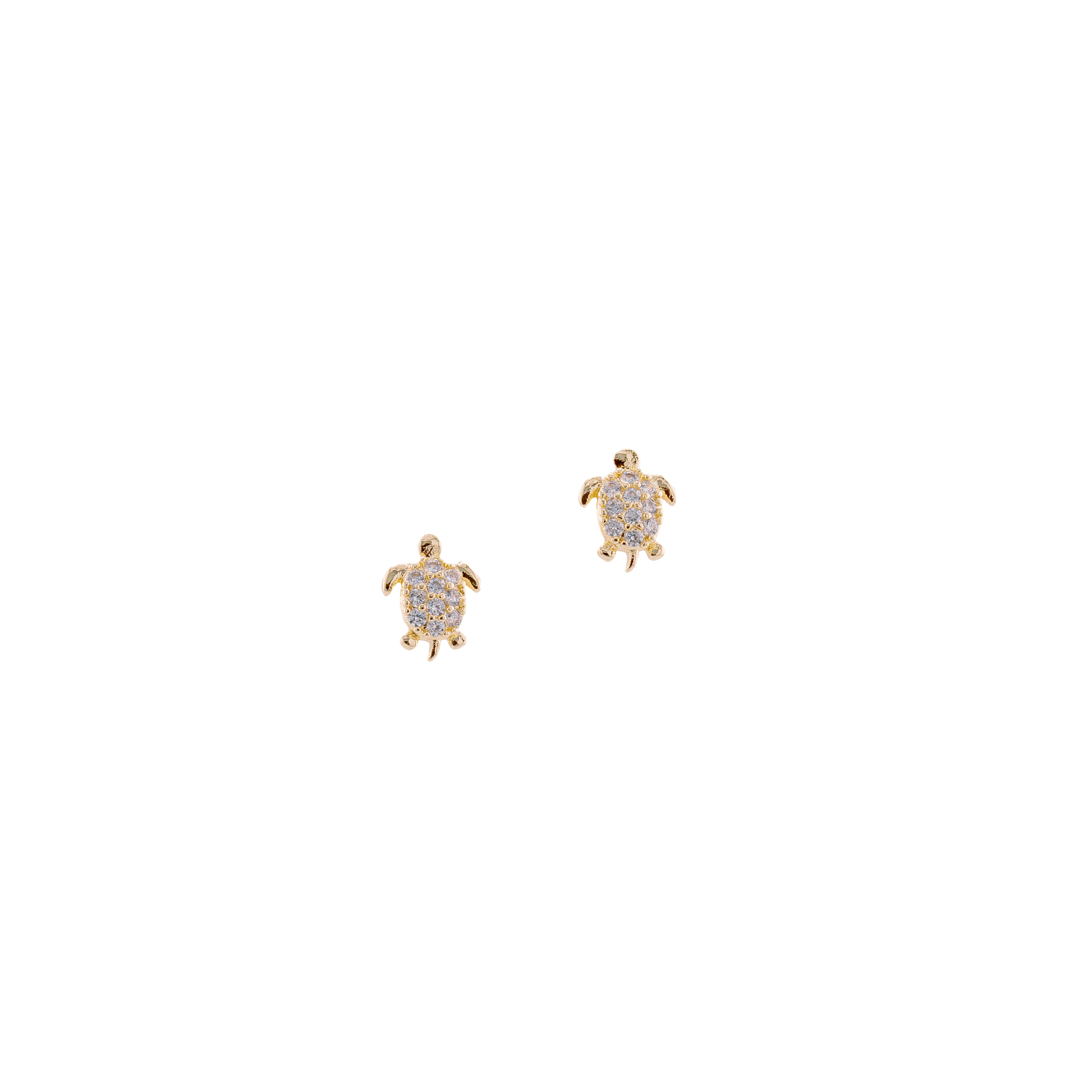Studs Tortoise